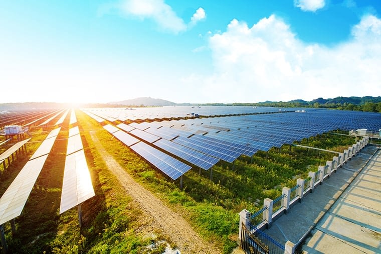 Field of Solar Panels